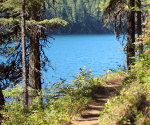 Bead Lake Trail