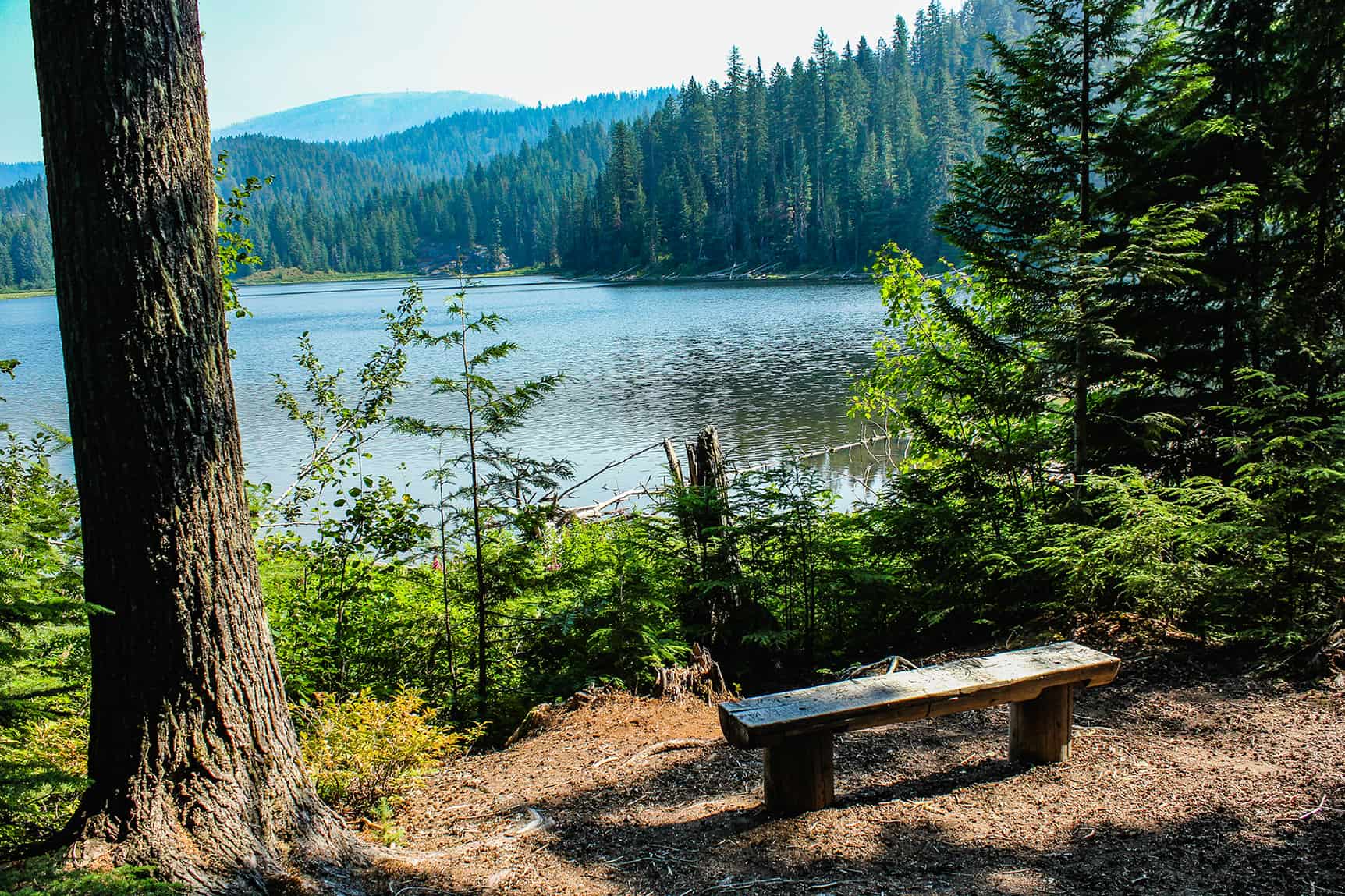 south skookum trail