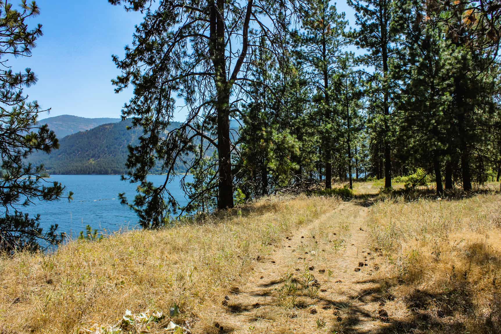 Sherman point loop trail ferry county