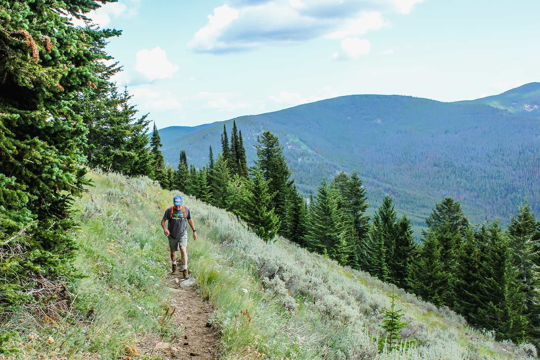 Hike a Rail Trail — Washington Trails Association