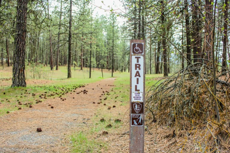 kettle falls campground trail