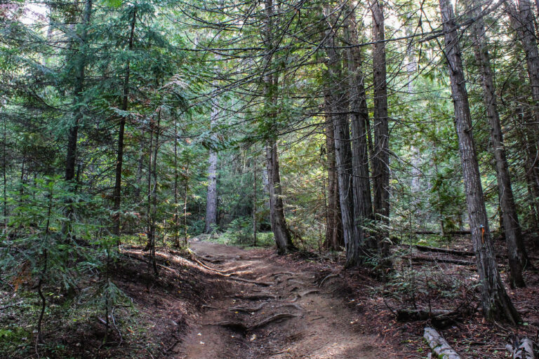 rufus trail 8