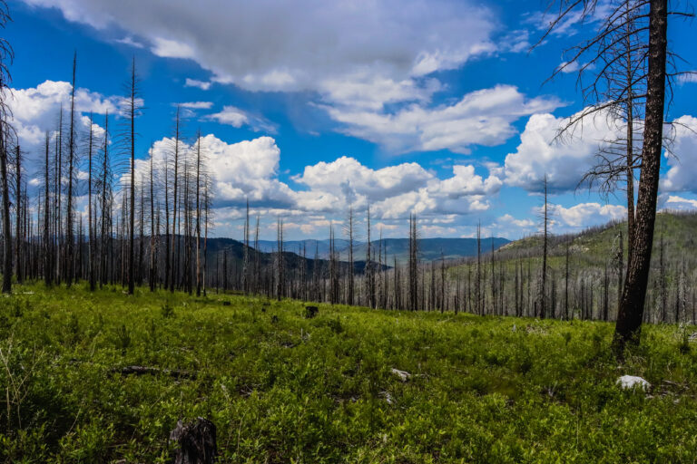 deer creek summit north 15