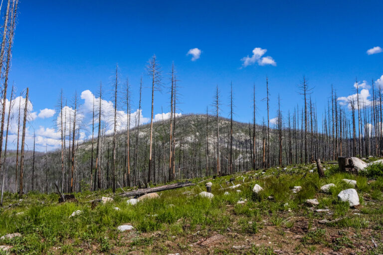 deer creek summit north 5