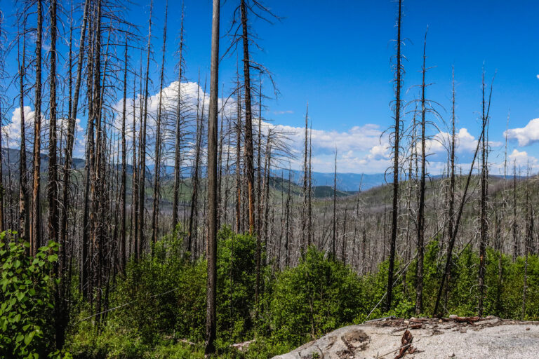 deer creek summit north 6